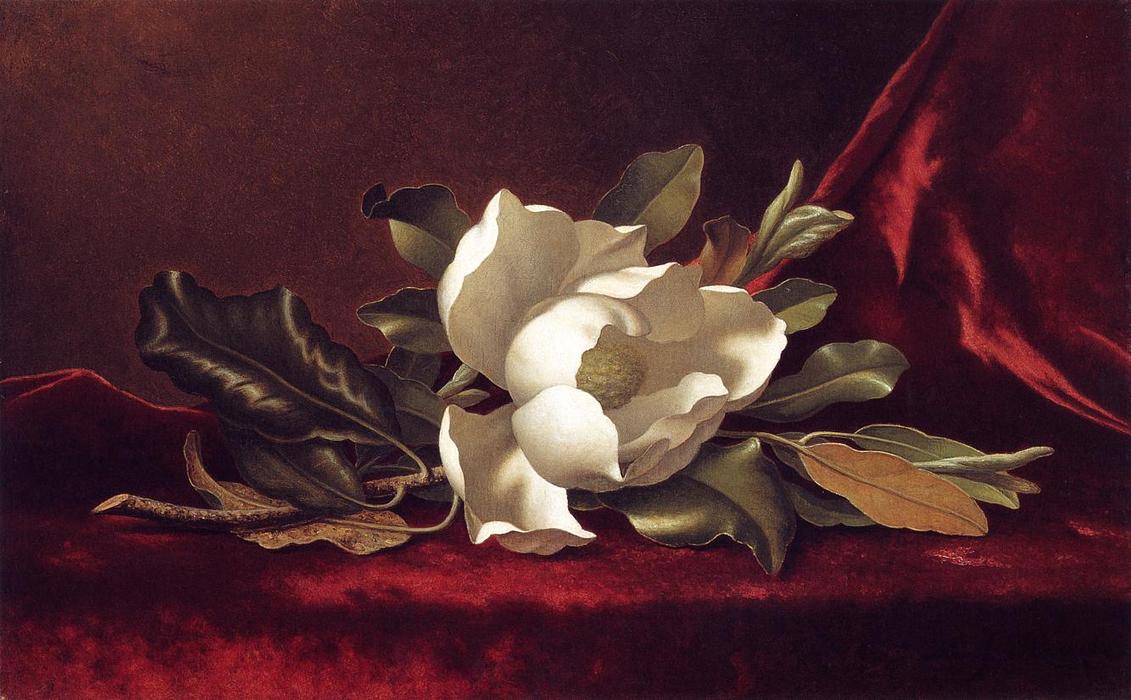 WikiOO.org - Енциклопедия за изящни изкуства - Живопис, Произведения на изкуството Martin Johnson Heade - The Magnolia Blossom