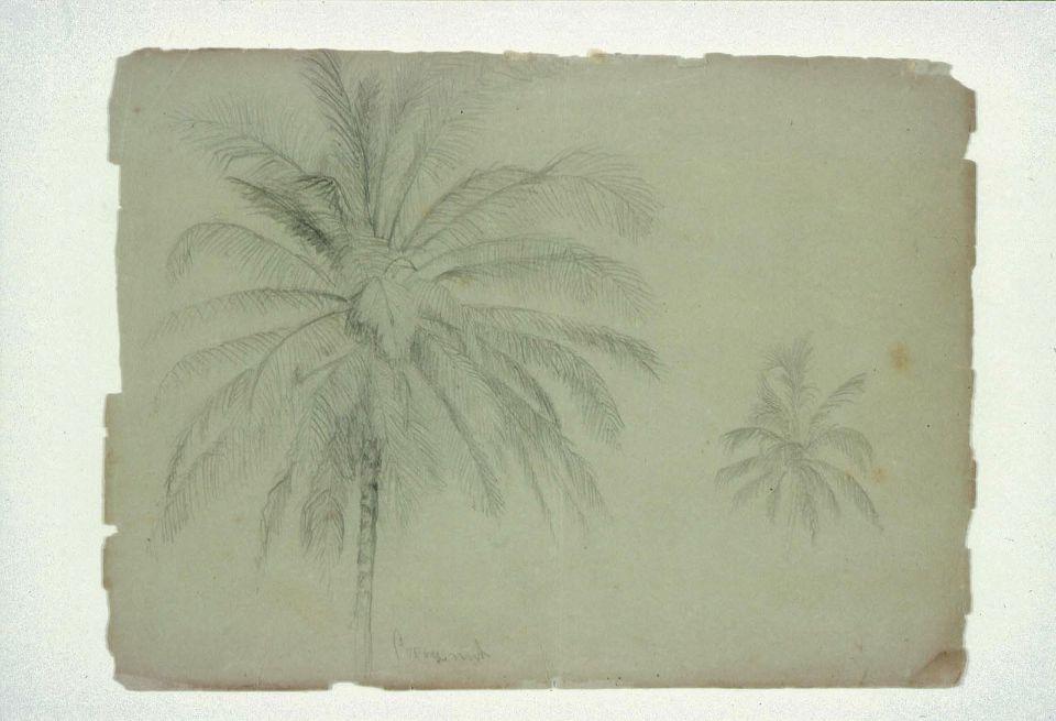 WikiOO.org - Encyclopedia of Fine Arts - Maleri, Artwork Martin Johnson Heade - Two Coconut Palms