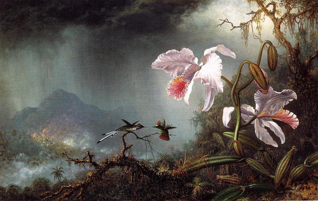 Wikioo.org - The Encyclopedia of Fine Arts - Painting, Artwork by Martin Johnson Heade - Two Fighting Hummingbirds with Two Orchids
