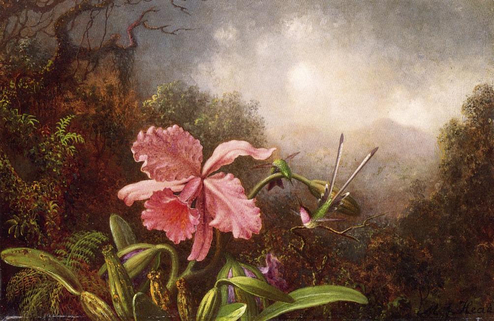 Wikioo.org - The Encyclopedia of Fine Arts - Painting, Artwork by Martin Johnson Heade - Two Hummingbirds by an Orchid