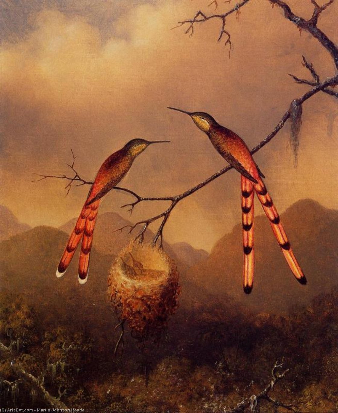 Wikioo.org - Encyklopedia Sztuk Pięknych - Malarstwo, Grafika Martin Johnson Heade - Two Hummingbirds with Their Young