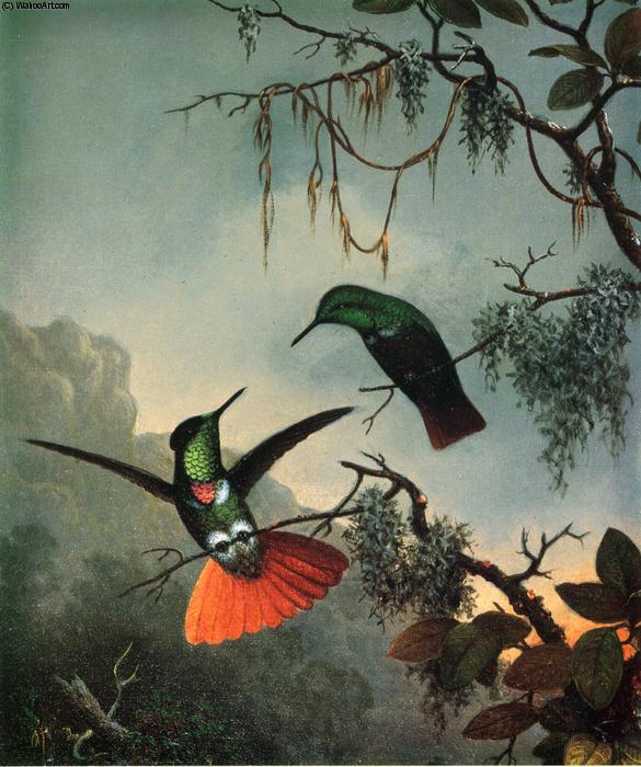 Wikioo.org - The Encyclopedia of Fine Arts - Painting, Artwork by Martin Johnson Heade - Two Hummingbirds