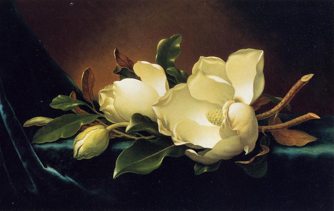 WikiOO.org - Güzel Sanatlar Ansiklopedisi - Resim, Resimler Martin Johnson Heade - Two Magnolias and a Bud on Teal Velvet