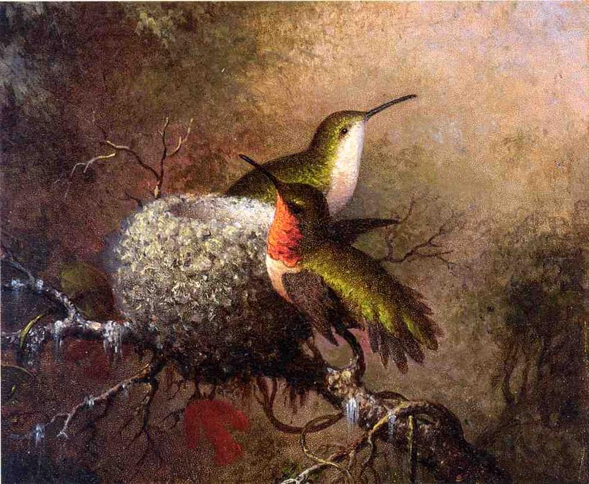 Wikioo.org - The Encyclopedia of Fine Arts - Painting, Artwork by Martin Johnson Heade - Two Ruby Throats by their Nest