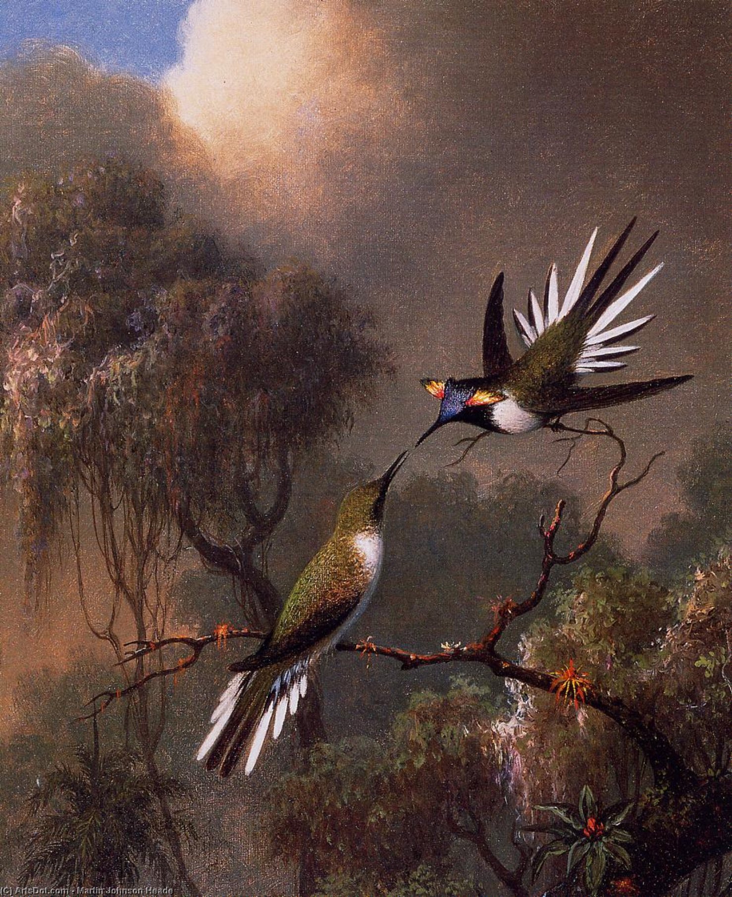 Wikioo.org - The Encyclopedia of Fine Arts - Painting, Artwork by Martin Johnson Heade - Two Sun Gems on a Branch