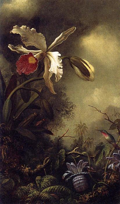 WikiOO.org - Encyclopedia of Fine Arts - Lukisan, Artwork Martin Johnson Heade - White Orchid and Hummingbird