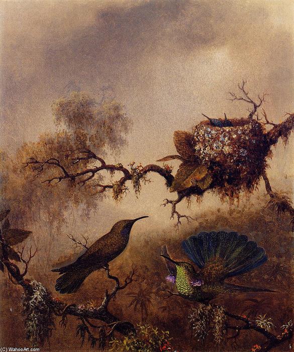 Wikioo.org - The Encyclopedia of Fine Arts - Painting, Artwork by Martin Johnson Heade - White-Vented Violet-Eared