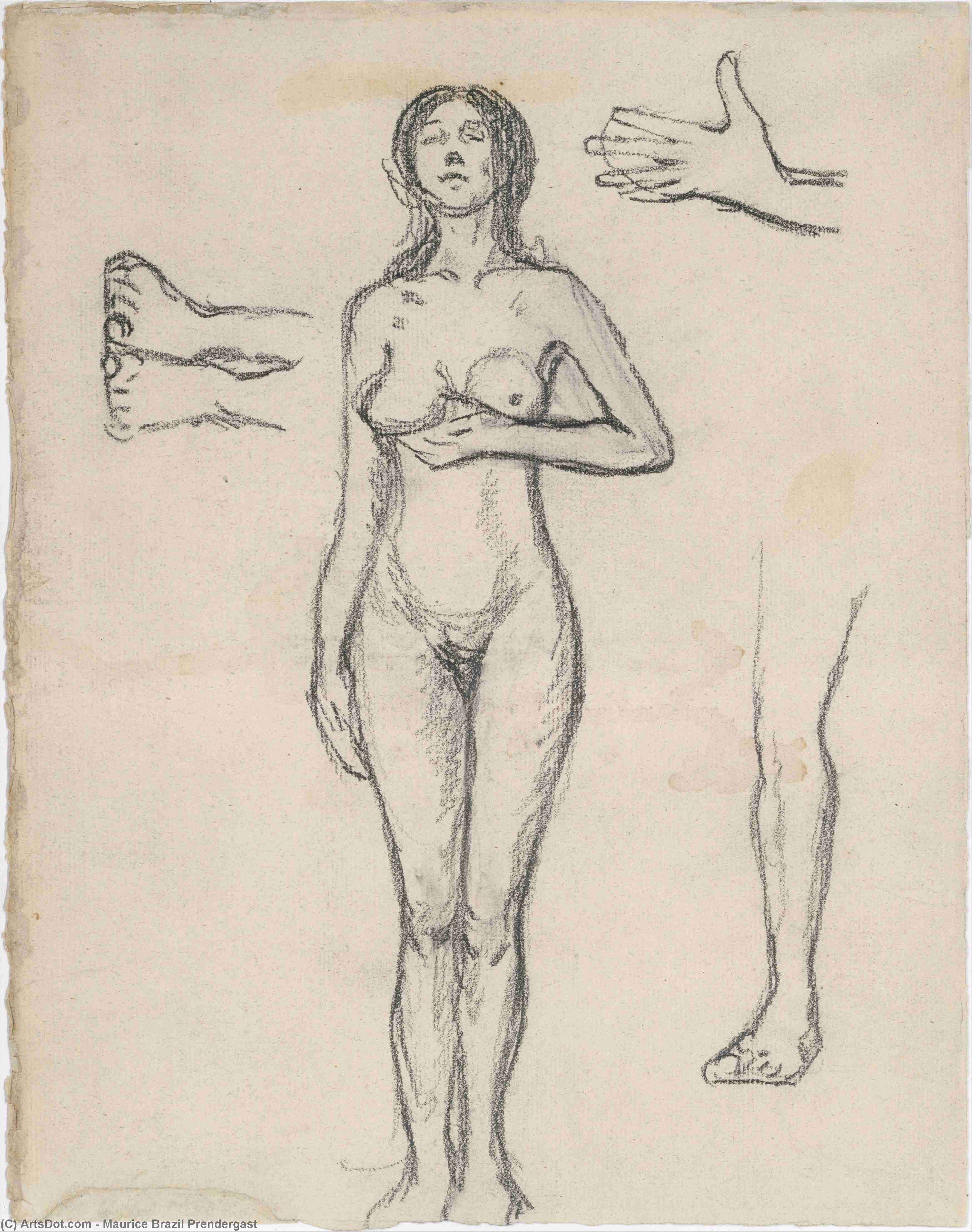 Wikioo.org - The Encyclopedia of Fine Arts - Painting, Artwork by Maurice Brazil Prendergast - Standing Nude Woman and Studies of a Hand, Leg, and Feet