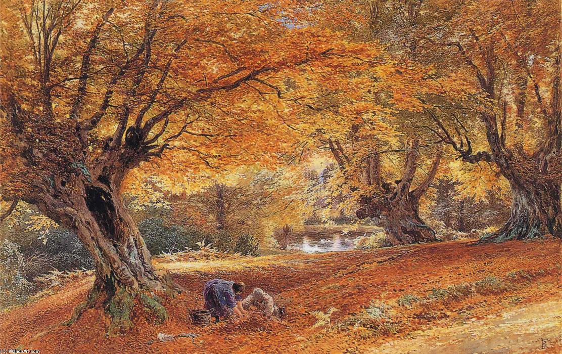 Wikioo.org - The Encyclopedia of Fine Arts - Painting, Artwork by Myles Birket Foster - Burnham Beeches