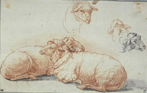 Wikioo.org - The Encyclopedia of Fine Arts - Painting, Artwork by Nicolaes Berchem - Two sheep lying down, and three studies of heads of sheep
