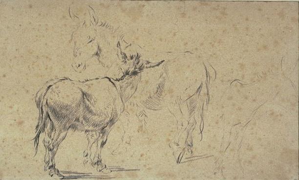 Wikioo.org - The Encyclopedia of Fine Arts - Painting, Artwork by Nicolaes Berchem - Two studies of donkeys and indication of a third