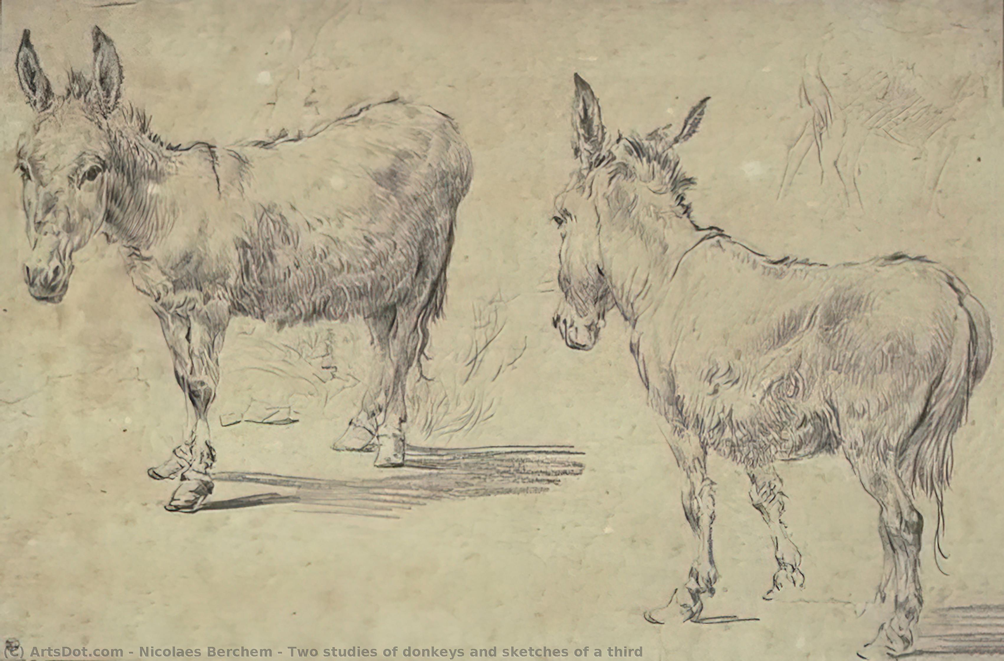 Wikioo.org - The Encyclopedia of Fine Arts - Painting, Artwork by Nicolaes Berchem - Two studies of donkeys and sketches of a third