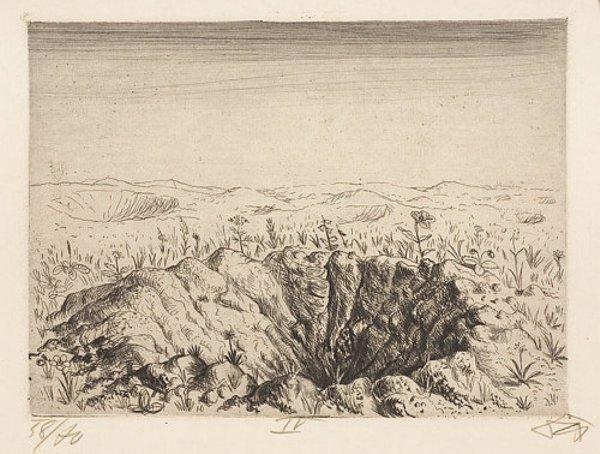 Wikioo.org – La Enciclopedia de las Bellas Artes - Pintura, Obras de arte de Otto Dix - Bomb-crater con flores - Primavera 1916
