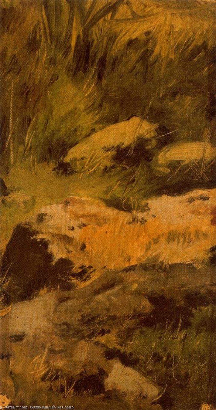 WikiOO.org - Encyclopedia of Fine Arts - Målning, konstverk Ovidio Murguía De Castro - Brana with rocks