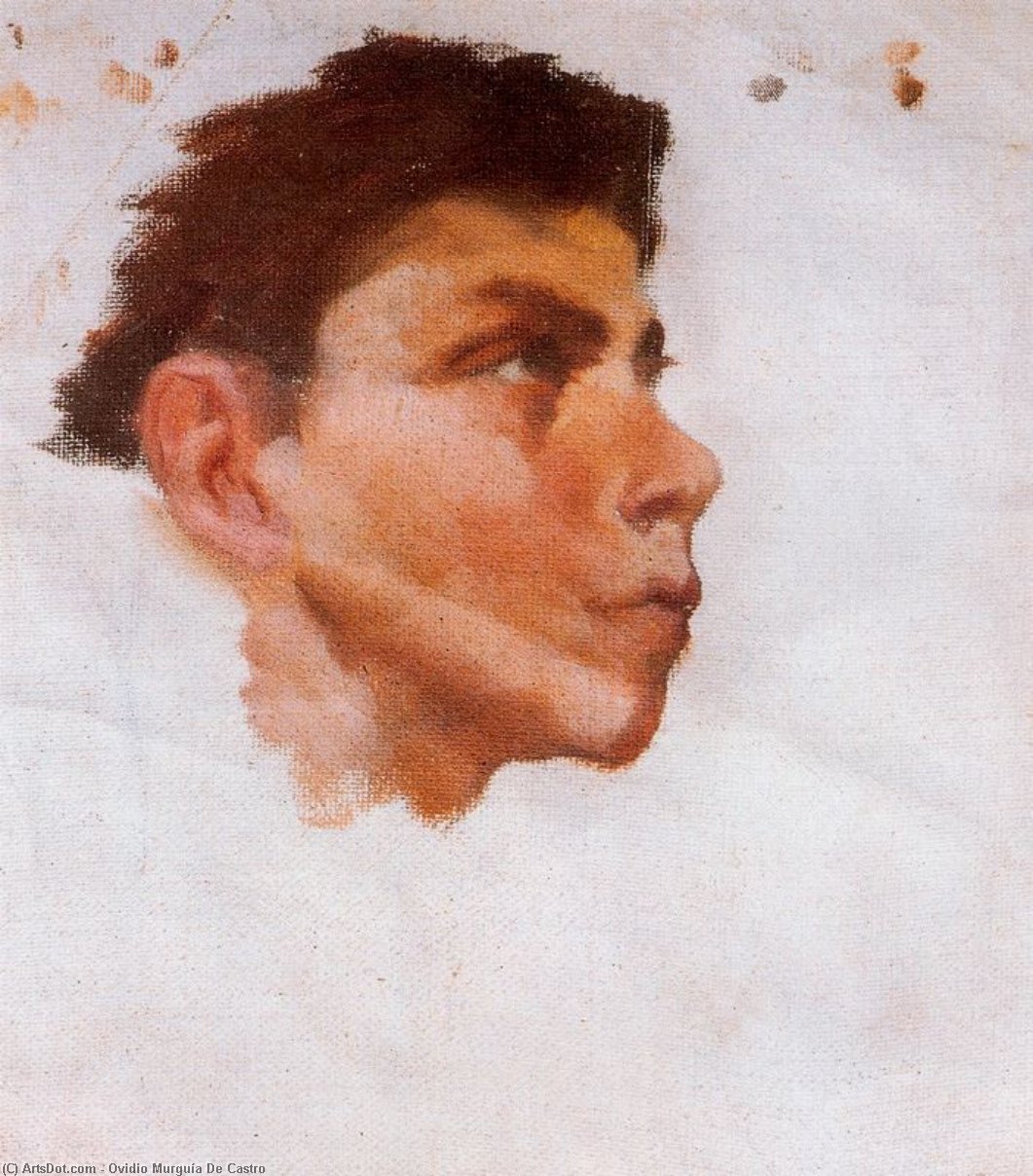 WikiOO.org - Енциклопедія образотворчого мистецтва - Живопис, Картини
 Ovidio Murguía De Castro - Head of young