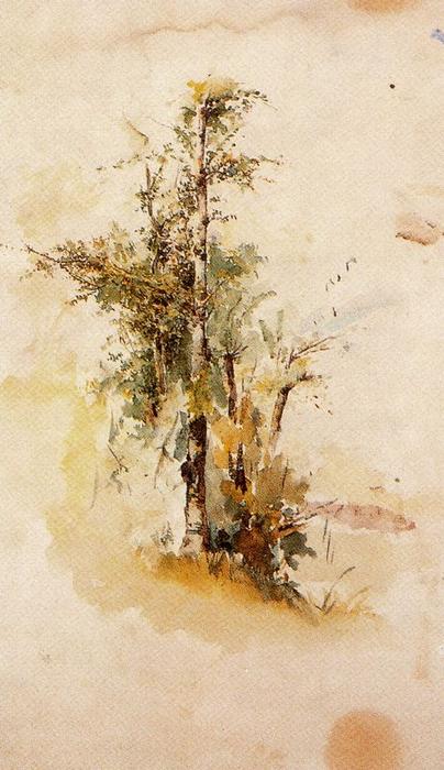 WikiOO.org - دایره المعارف هنرهای زیبا - نقاشی، آثار هنری Ovidio Murguía De Castro - Tree