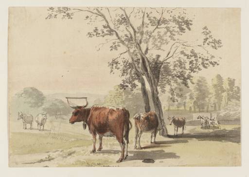 Wikioo.org - The Encyclopedia of Fine Arts - Painting, Artwork by Paul Sandby - Cows in a Park