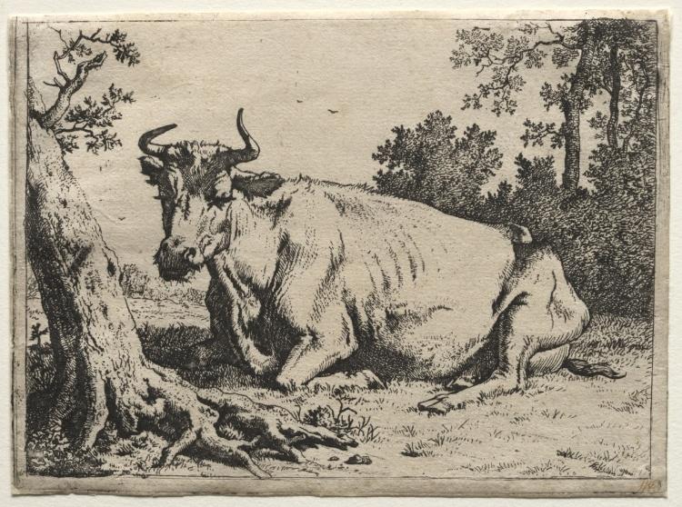 Wikioo.org - The Encyclopedia of Fine Arts - Painting, Artwork by Paulus Potter - The cow lying down near a tree