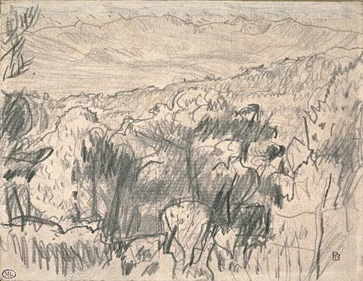 Wikioo.org – L'Encyclopédie des Beaux Arts - Peinture, Oeuvre de Pierre Bonnard - Paysage de Cannet