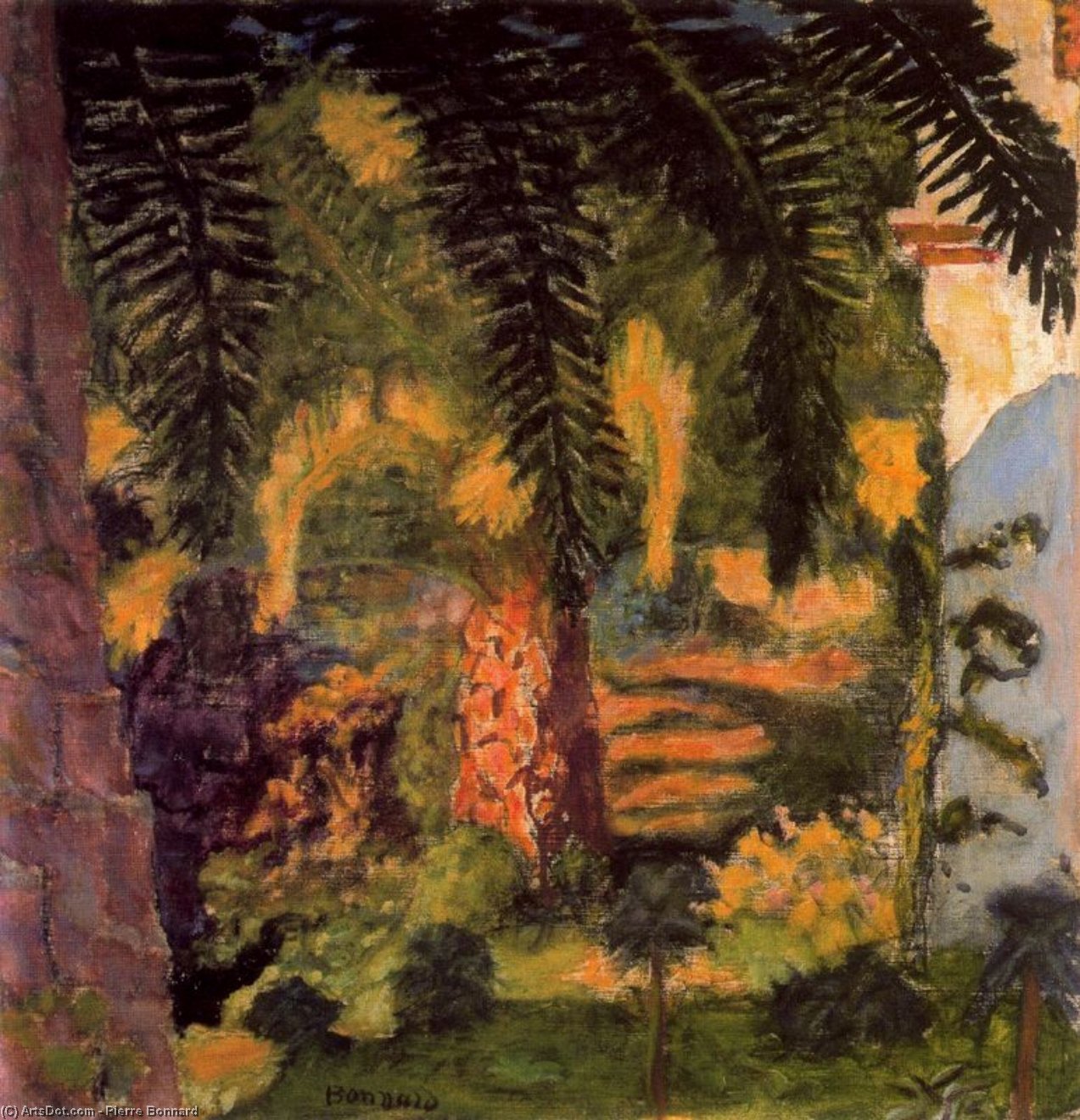 Wikioo.org - The Encyclopedia of Fine Arts - Painting, Artwork by Pierre Bonnard - The palm tree at Cannet