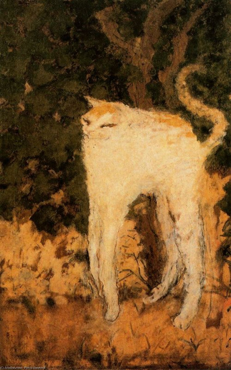 Wikioo.org - The Encyclopedia of Fine Arts - Painting, Artwork by Pierre Bonnard - The White Cat
