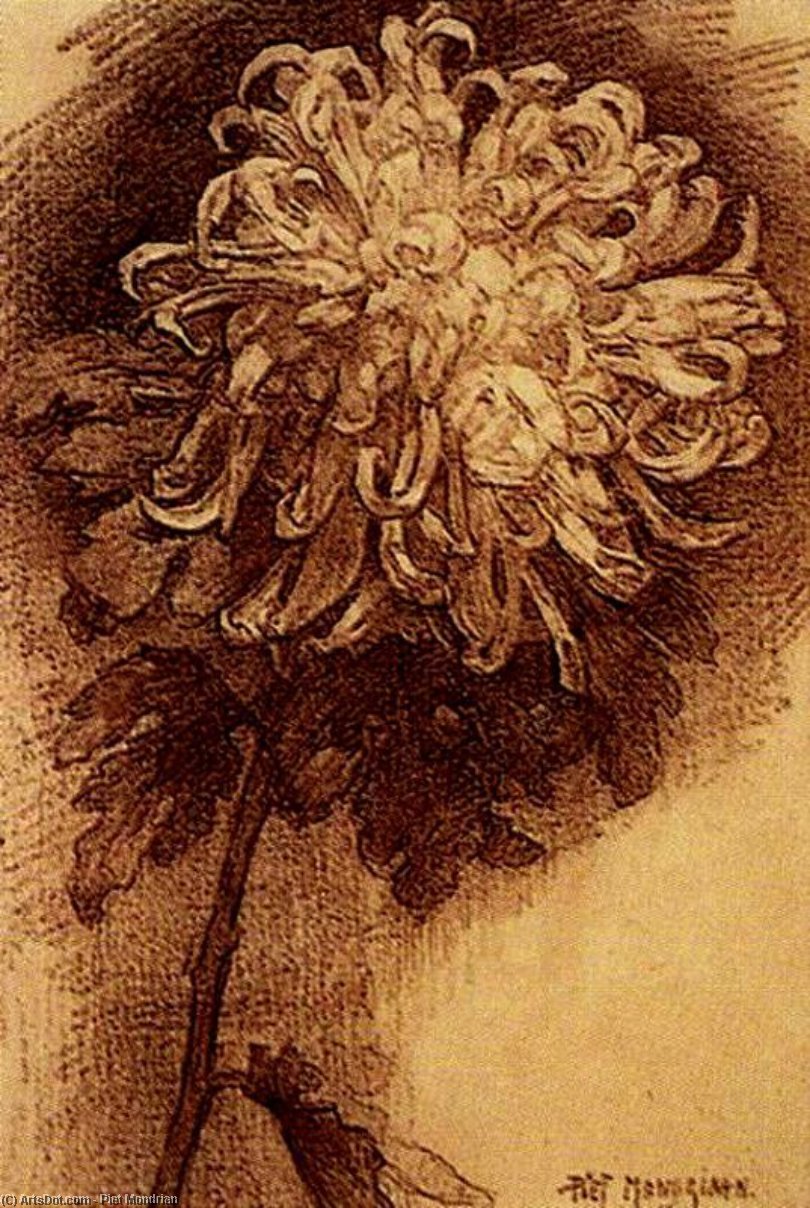 Wikioo.org - Encyklopedia Sztuk Pięknych - Malarstwo, Grafika Piet Mondrian - chrysanthemum 1