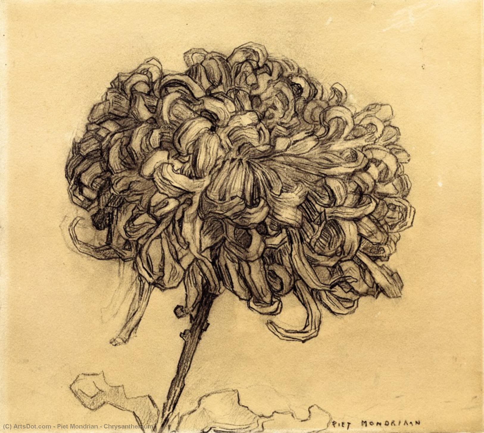 Wikioo.org - สารานุกรมวิจิตรศิลป์ - จิตรกรรม Piet Mondrian - Chrysanthemum