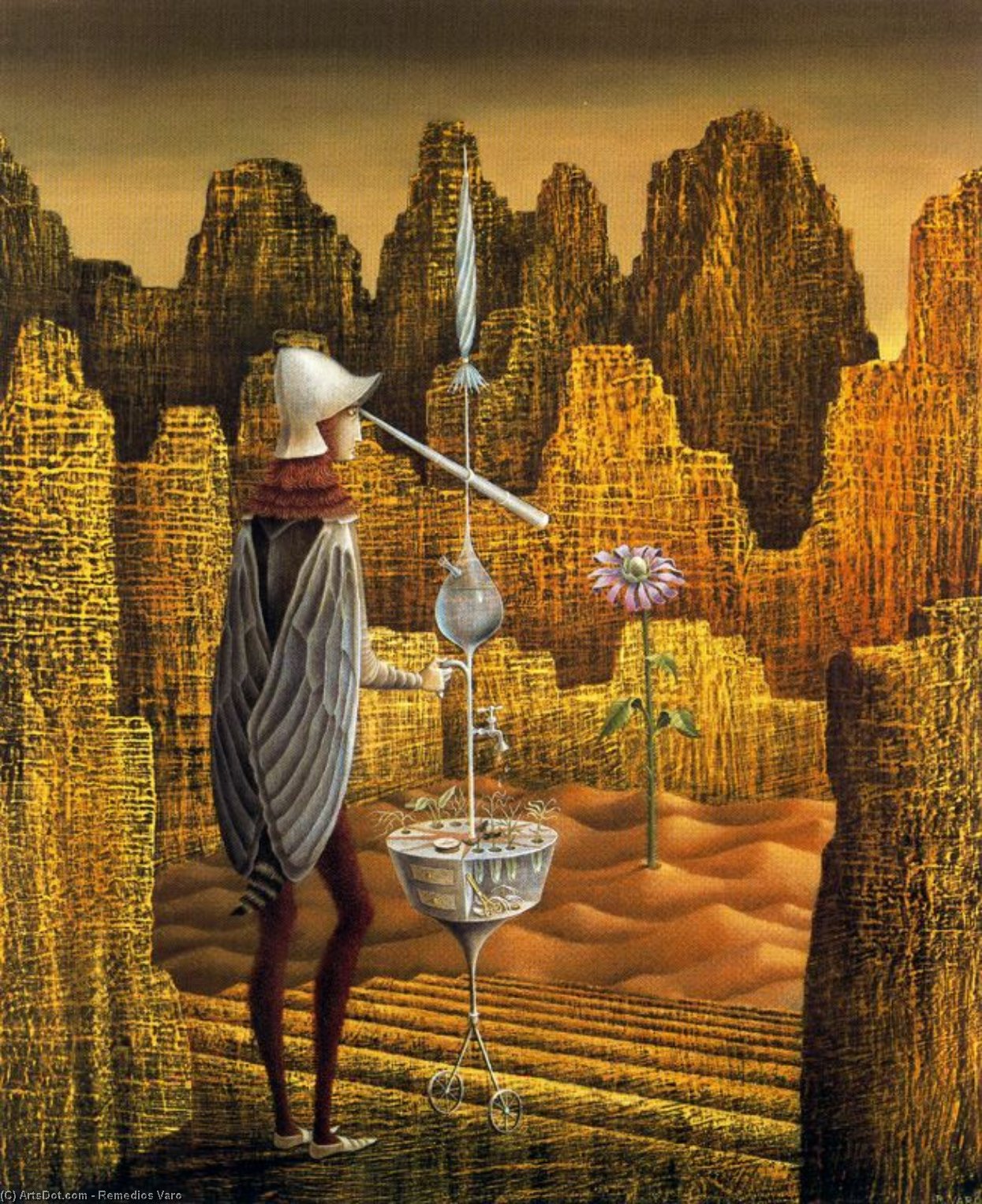 Wikioo.org - The Encyclopedia of Fine Arts - Painting, Artwork by Remedios Varo - Discovery of a Mutant Geologist