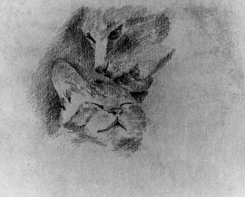 WikiOO.org - Encyclopedia of Fine Arts - Maľba, Artwork Remedios Varo - The cats ''Pituso'' and ''Zorrillo''