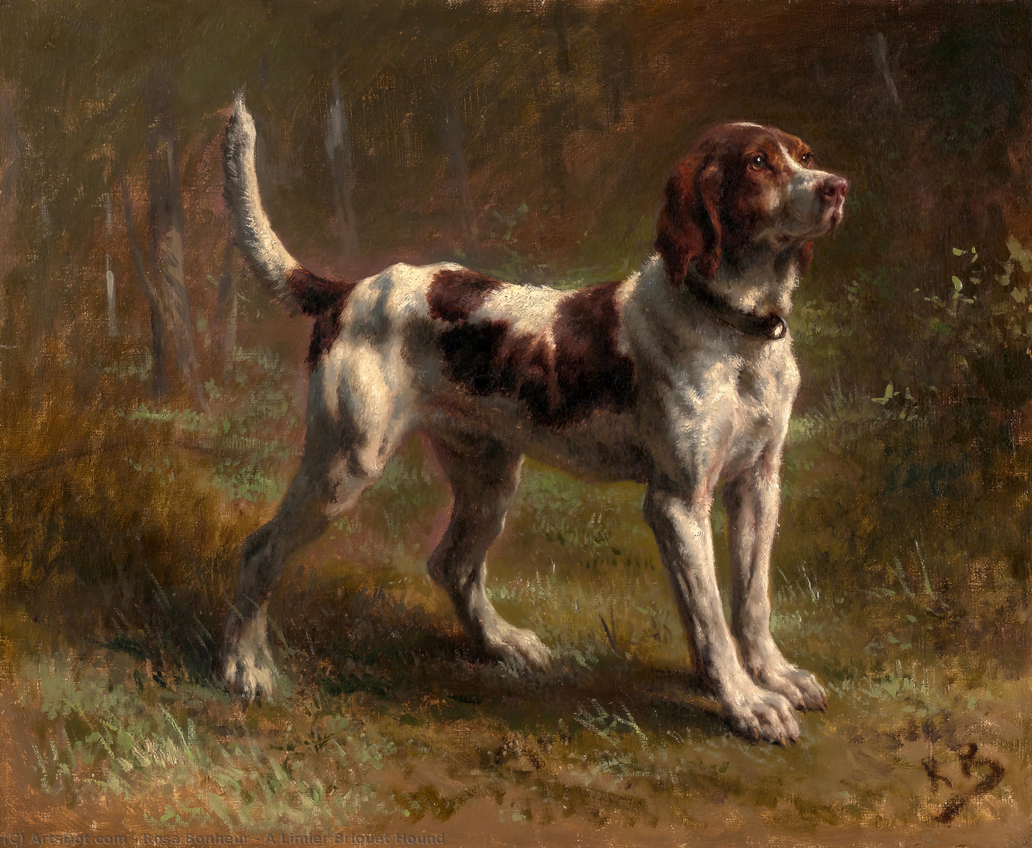 Wikioo.org - The Encyclopedia of Fine Arts - Painting, Artwork by Rosa Bonheur - A Limier Briquet Hound