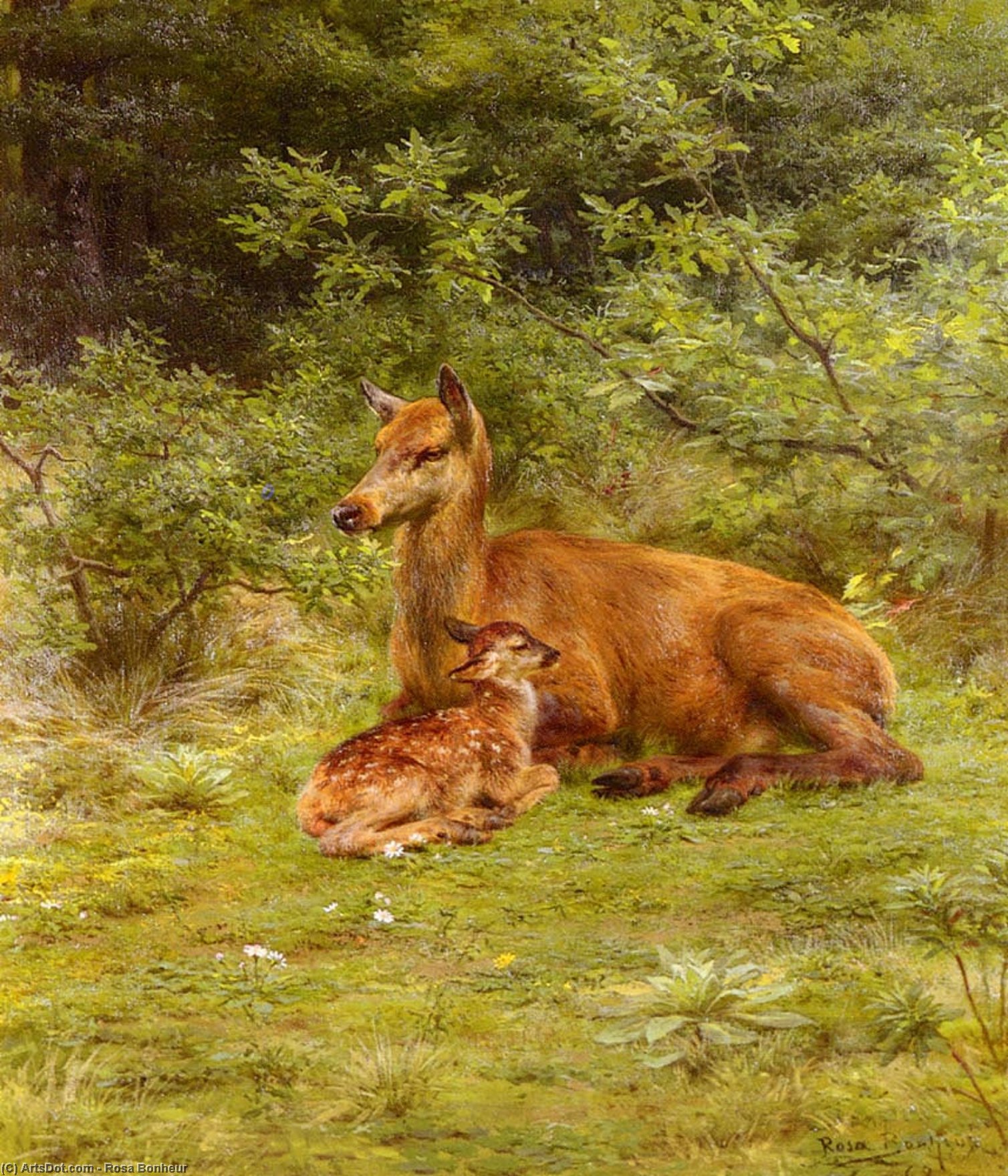 Wikioo.org - The Encyclopedia of Fine Arts - Painting, Artwork by Rosa Bonheur - Doe And Fawn In A Thicket