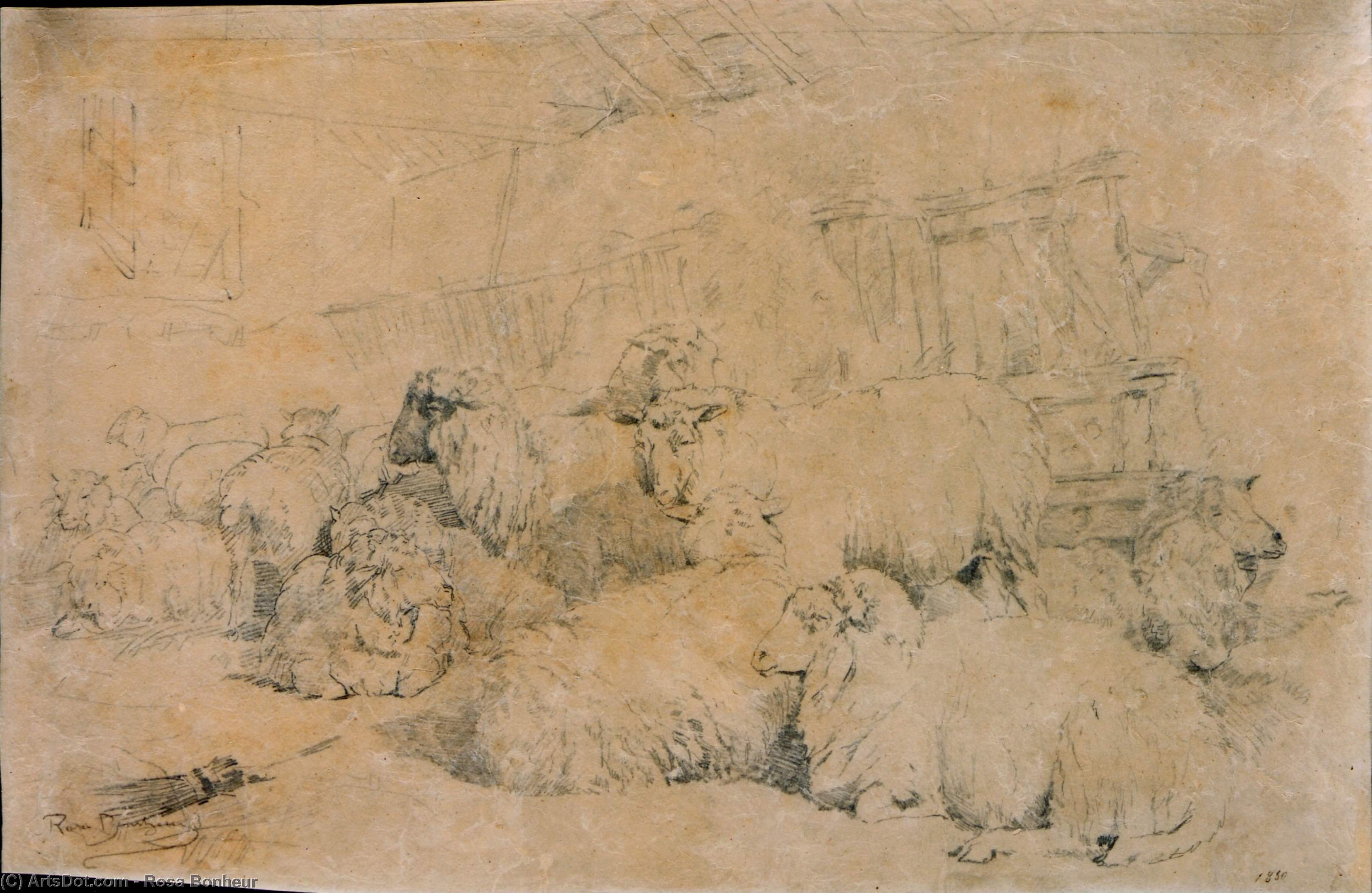 Wikioo.org – La Enciclopedia de las Bellas Artes - Pintura, Obras de arte de Rosa Bonheur - Rebaño de ovejas en Estable