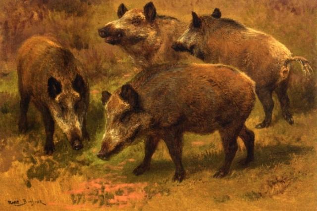 Wikioo.org - The Encyclopedia of Fine Arts - Painting, Artwork by Rosa Bonheur - Four Boars in a Landscape