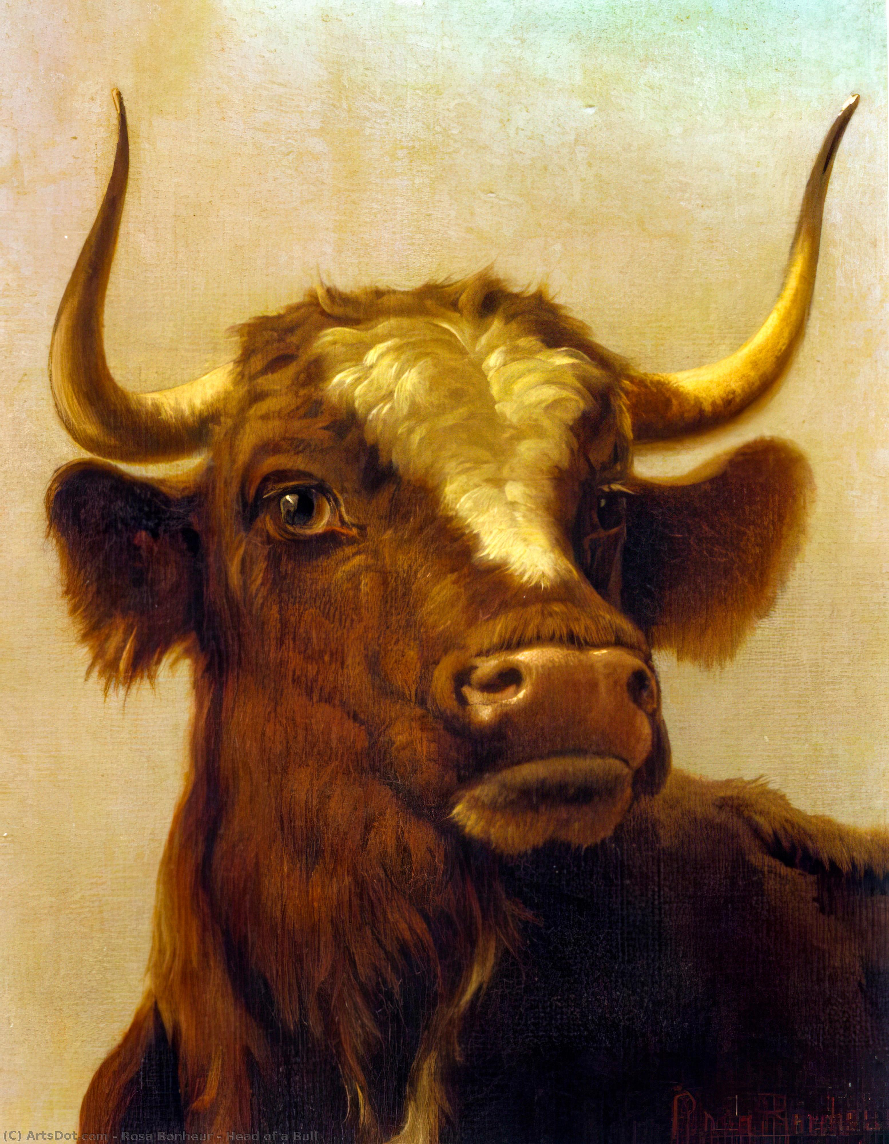 WikiOO.org - Enciclopédia das Belas Artes - Pintura, Arte por Rosa Bonheur - Head of a Bull