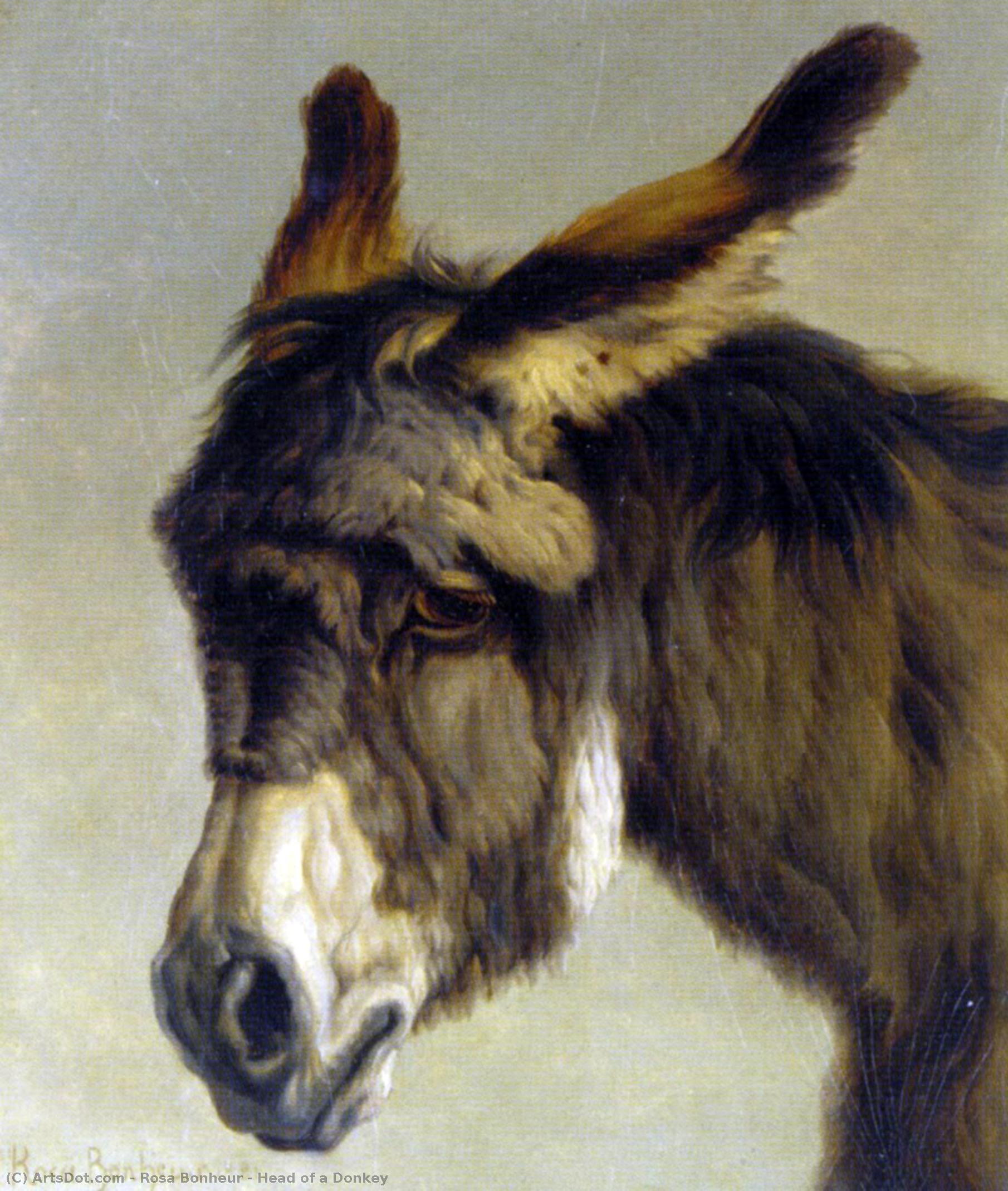 WikiOO.org - Enciclopédia das Belas Artes - Pintura, Arte por Rosa Bonheur - Head of a Donkey