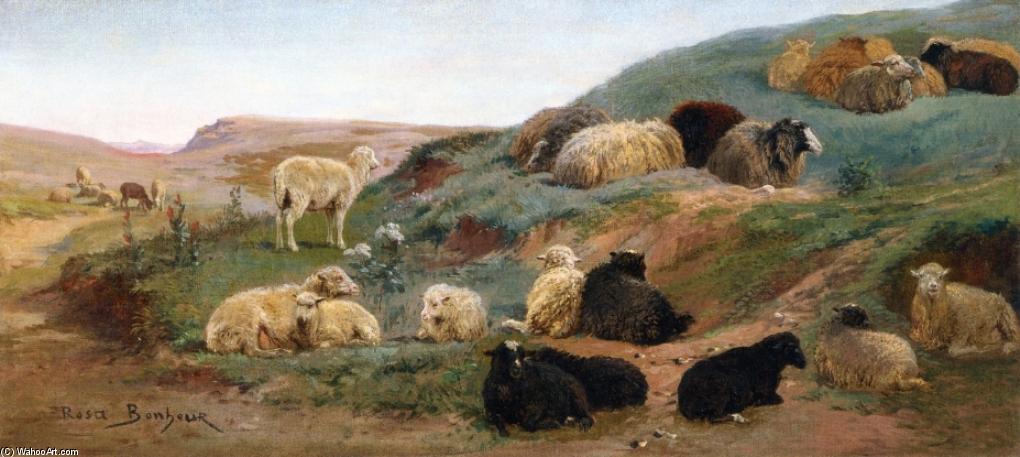 Wikioo.org - The Encyclopedia of Fine Arts - Painting, Artwork by Rosa Bonheur - Sheep in a Mountainous Landscape