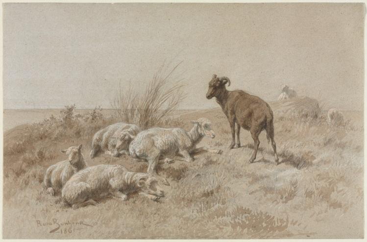 WikiOO.org - Enciklopedija likovnih umjetnosti - Slikarstvo, umjetnička djela Rosa Bonheur - Sheep