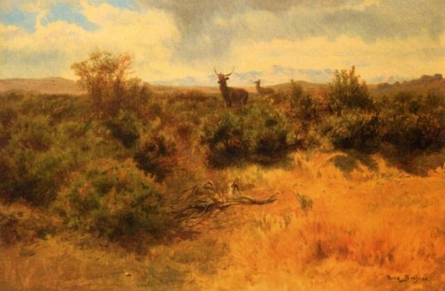 WikiOO.org - אנציקלופדיה לאמנויות יפות - ציור, יצירות אמנות Rosa Bonheur - Stag and Doe in a Landscape
