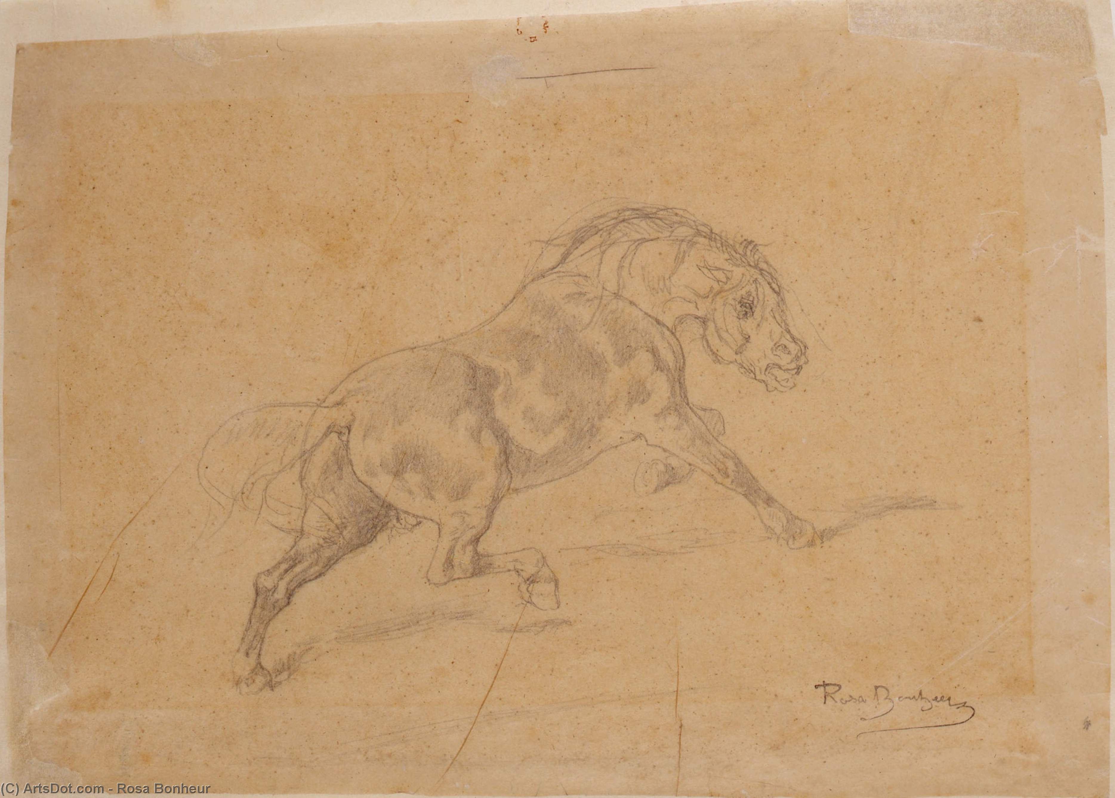 WikiOO.org - Encyclopedia of Fine Arts - Schilderen, Artwork Rosa Bonheur - Study of Horse for Le duel