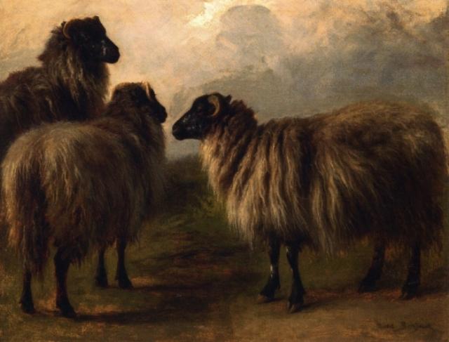 Wikioo.org – L'Encyclopédie des Beaux Arts - Peinture, Oeuvre de Rosa Bonheur - Trois moutons laineux