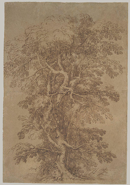 WikiOO.org - 百科事典 - 絵画、アートワーク Salvator Rosa - a 大きい 木