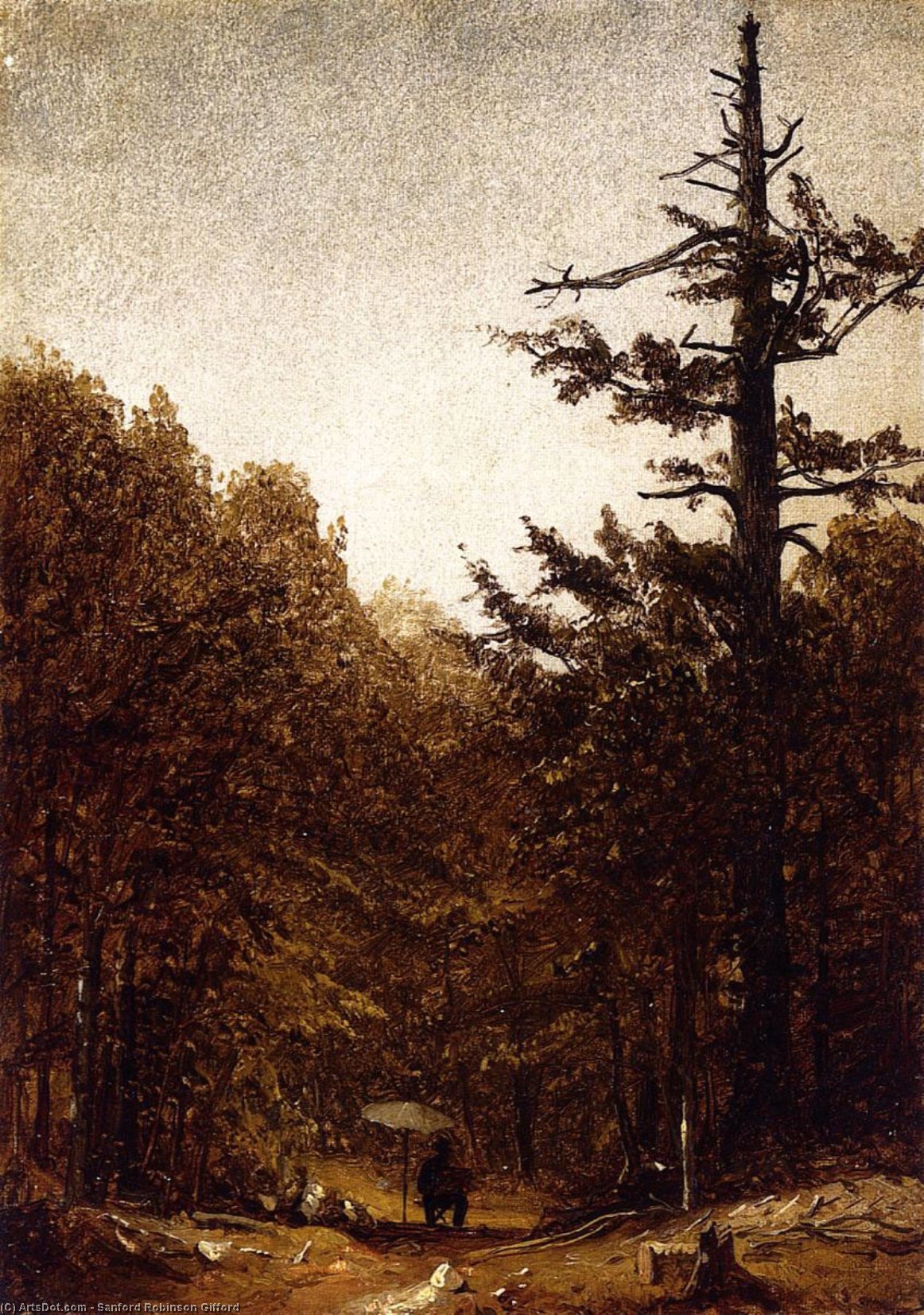 Wikioo.org - The Encyclopedia of Fine Arts - Painting, Artwork by Sanford Robinson Gifford - A Forest Road