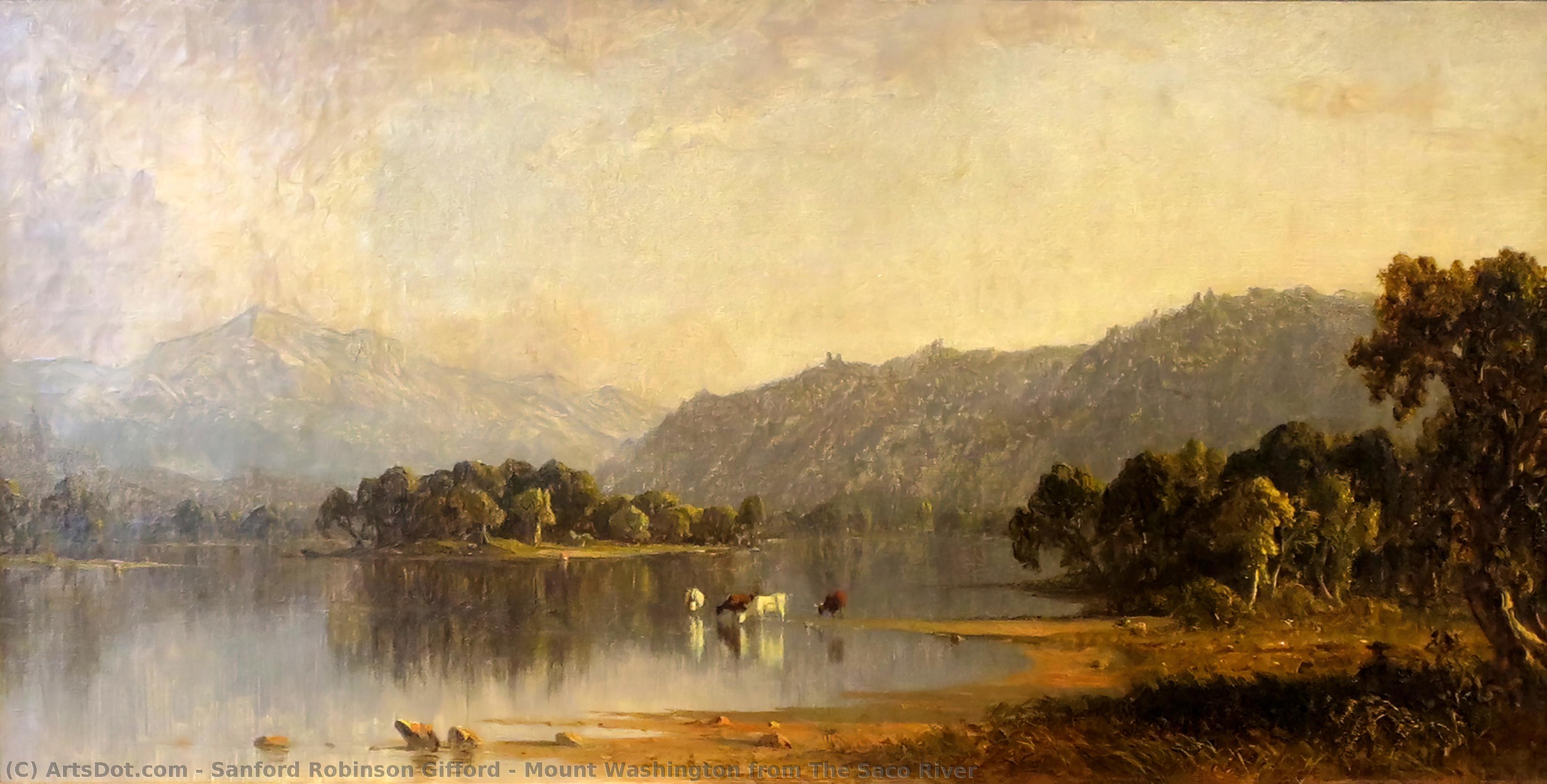 WikiOO.org - Enciklopedija likovnih umjetnosti - Slikarstvo, umjetnička djela Sanford Robinson Gifford - Mount Washington from The Saco River