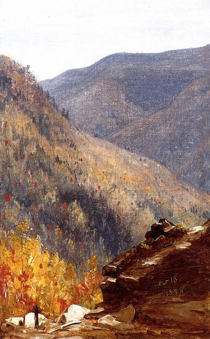 Wikioo.org - The Encyclopedia of Fine Arts - Painting, Artwork by Sanford Robinson Gifford - View near Kauterskill Clove