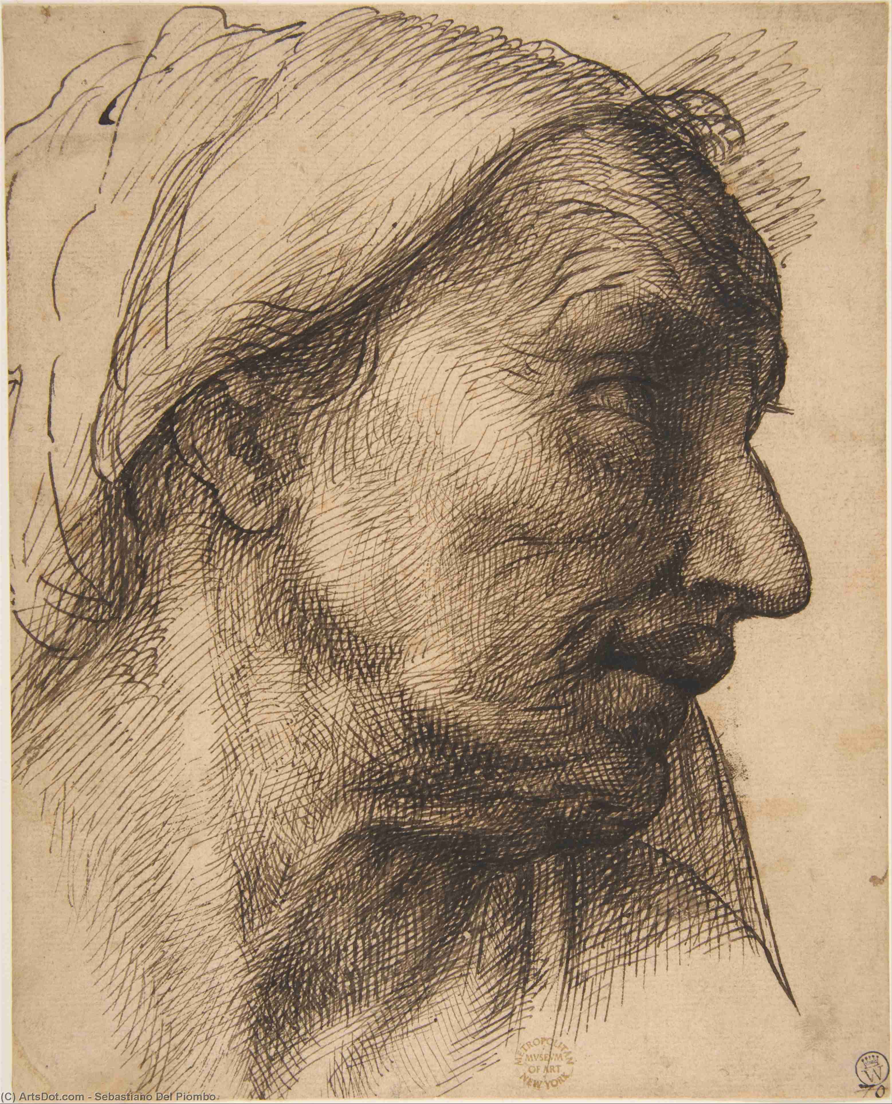 WikiOO.org - Encyclopedia of Fine Arts - Malba, Artwork Sebastiano Del Piombo - Head of an Old Woman
