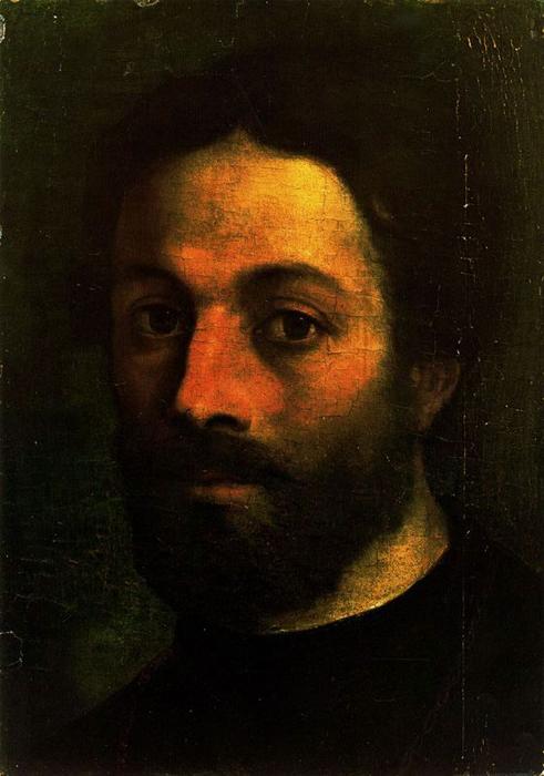 WikiOO.org - Encyclopedia of Fine Arts - Malba, Artwork Sebastiano Del Piombo - Head of Giovane Barbuto