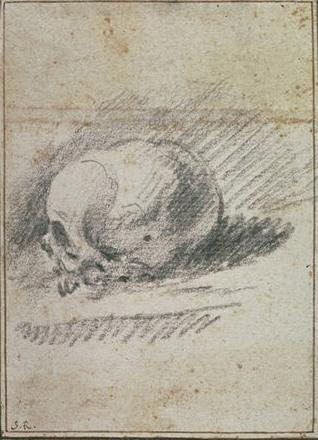 WikiOO.org - Enciclopédia das Belas Artes - Pintura, Arte por Sebastiano Ricci - A skull