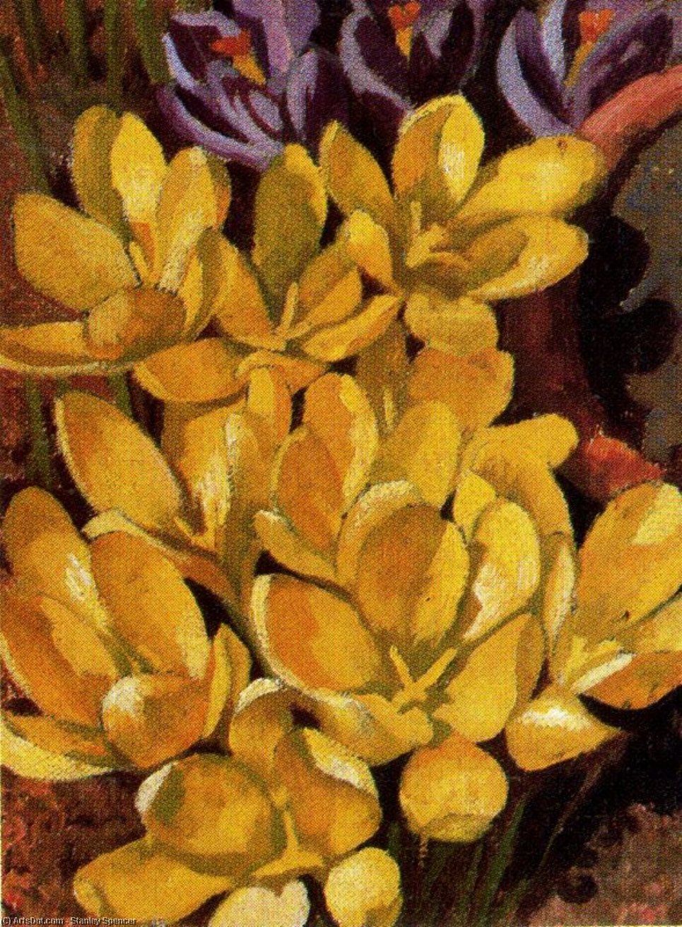 Wikioo.org - The Encyclopedia of Fine Arts - Painting, Artwork by Stanley Spencer - Crocuses