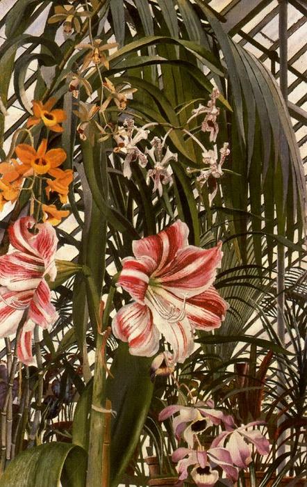 Wikioo.org – La Enciclopedia de las Bellas Artes - Pintura, Obras de arte de Stanley Spencer - Orquídeas lirios  Palmas