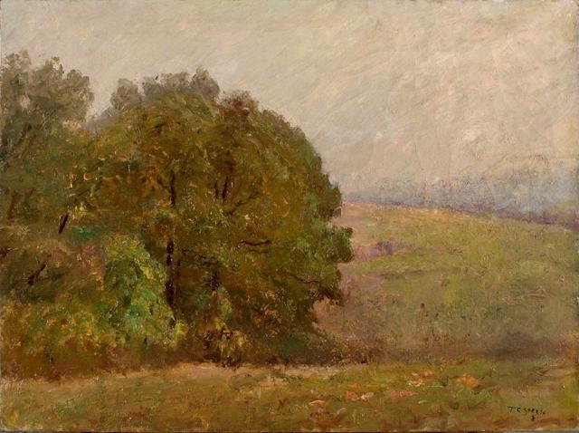 WikiOO.org - Enciclopédia das Belas Artes - Pintura, Arte por Theodore Clement Steele - A Misty Day (Where the Hills are Lost in Mist)